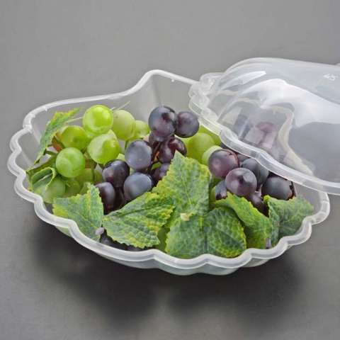 Manufacturer clear disposable plastic dishes fruit plate