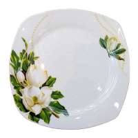 white porcelain square 8 inch dinner plate set with color box